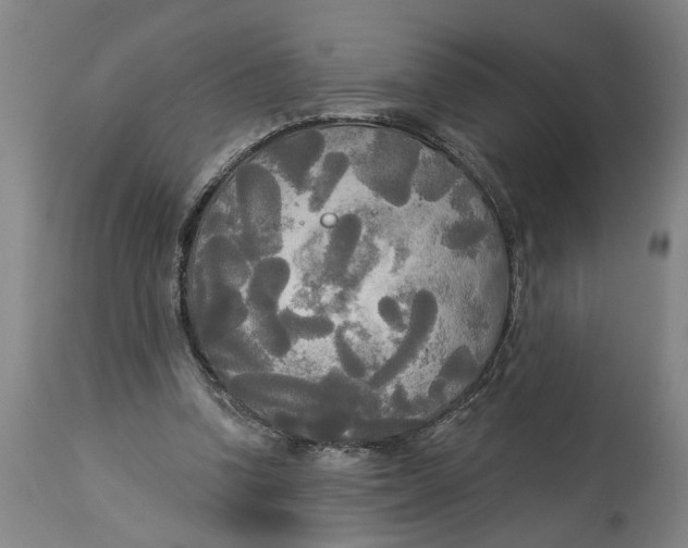 X0000114550346200911091201