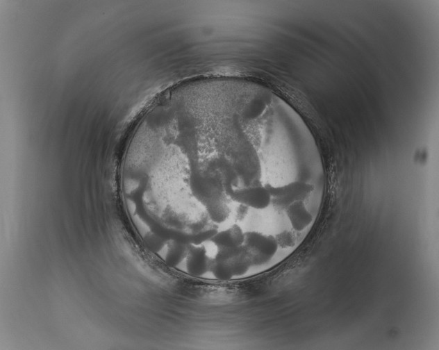 X0000114550347200911091201