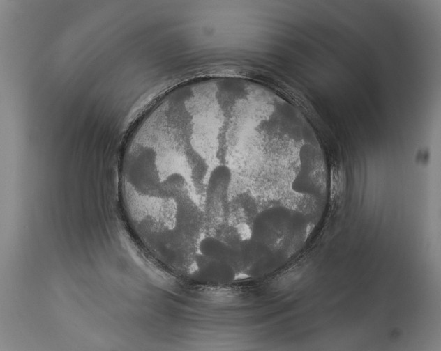 X0000114550349200911091201