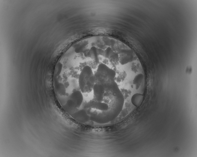 X0000114550353200911091201