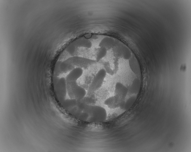 X0000114550354200911091201