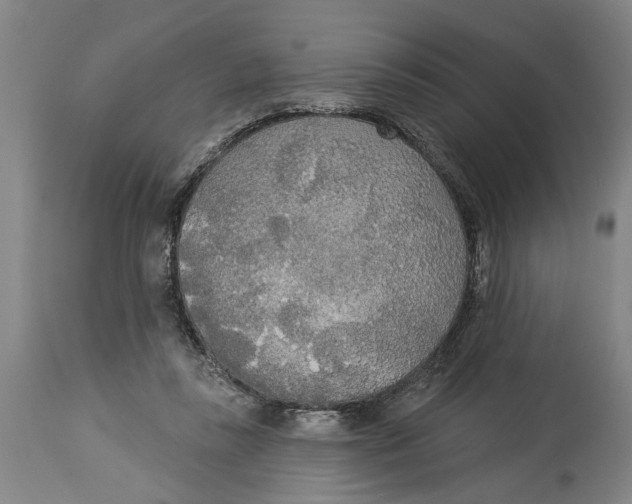 X0000114550355200911091201