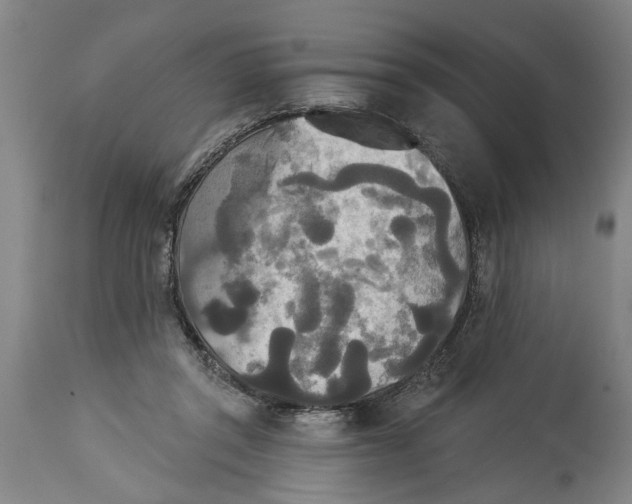X0000114550357200911091201