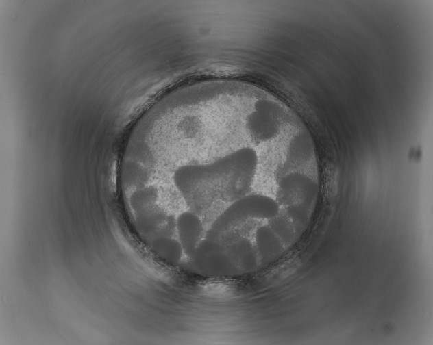 X0000114550358200911091201