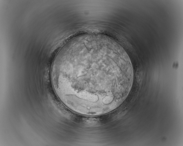 X0000114550359200911091201