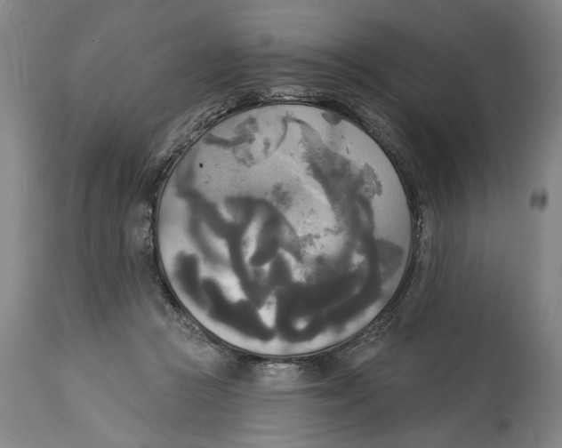 X0000114550361200911091201