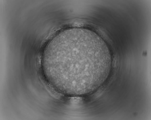 X0000114550363200911091201