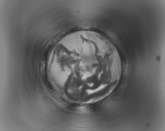 X0000114550365200911091201