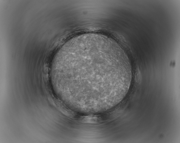 X0000114550366200911091201