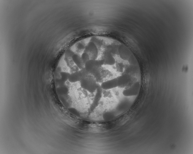 X0000114550367200911091201