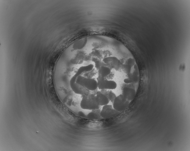X0000114550369200911091201