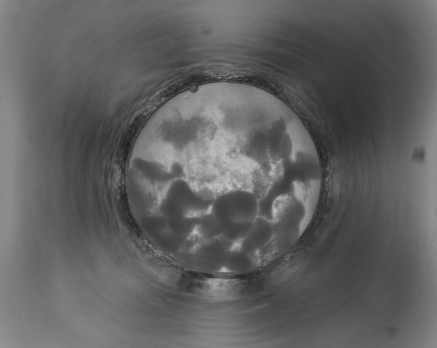 X0000114550371200911091201