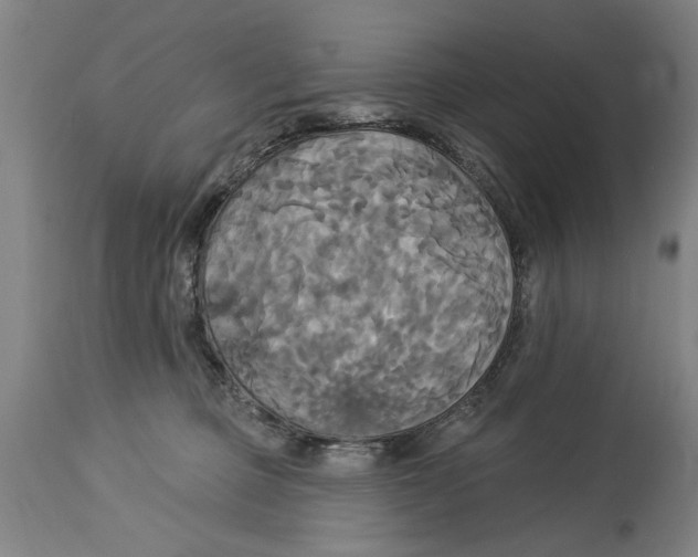 X0000114550373200911091201