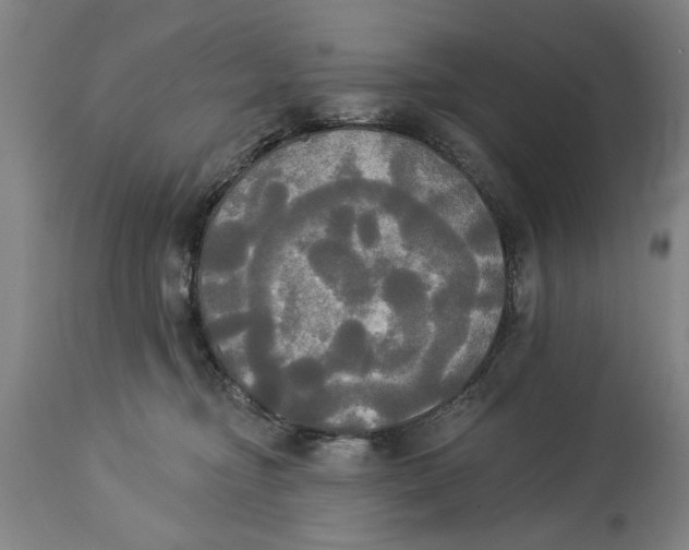 X0000114550374200911091201