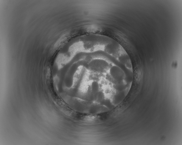 X0000114550375200911091201