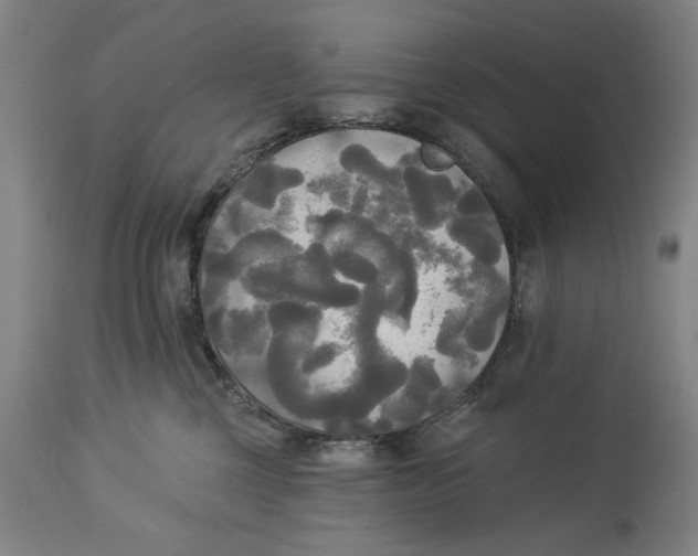 X0000114550377200911091201