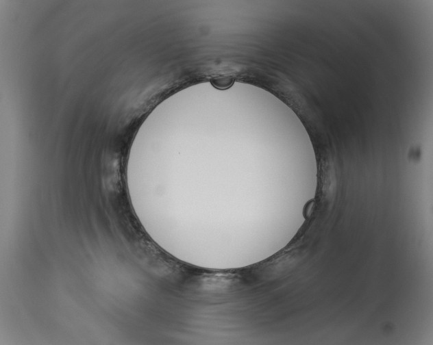 X0000114550378200911091201