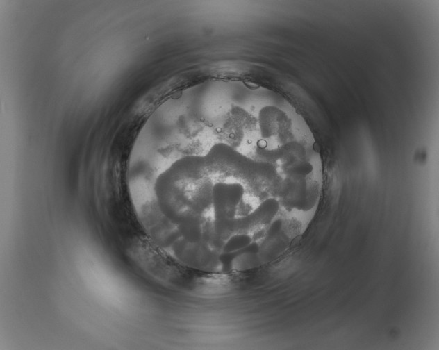 X0000114550381200911091201