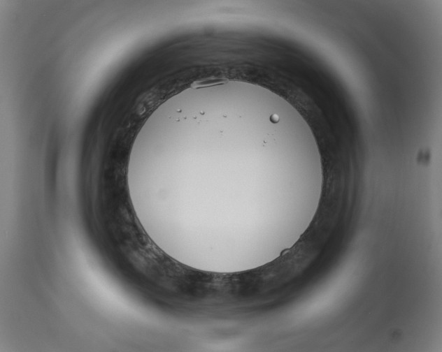 X0000114550383200911091201
