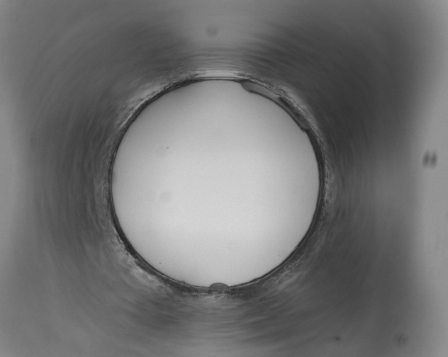 X0000114550385200911091200