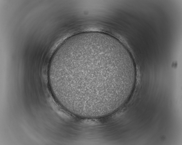 X0000114550386200911091200