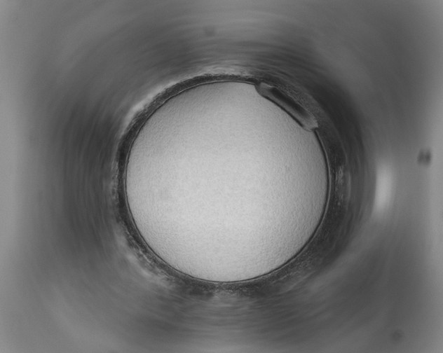 X0000114550388200911091200