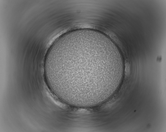 X0000114550390200911091200