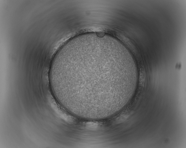 X0000114550394200911091200
