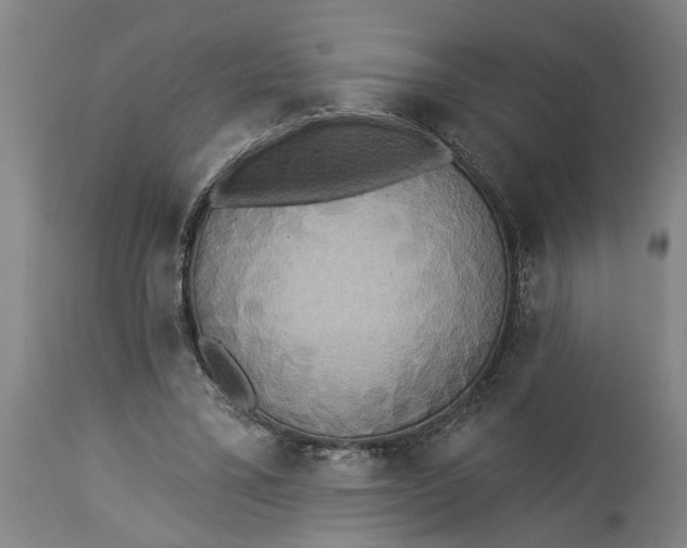 X0000114550395200911091200