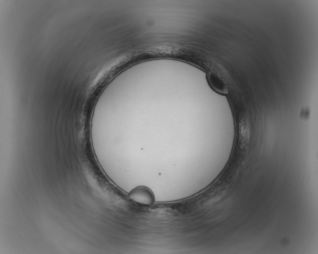 X0000114550396200911091200
