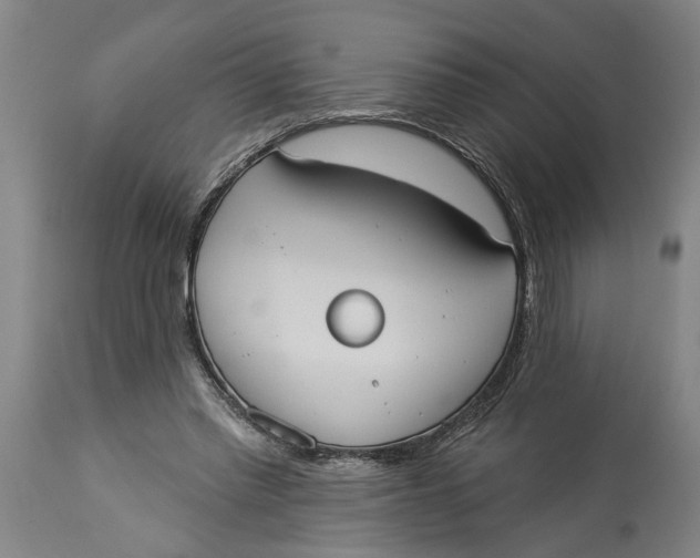 X0000114550397200911091200
