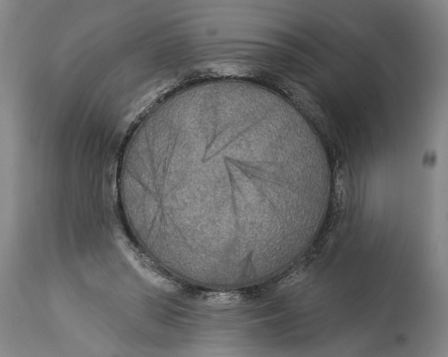 X0000114550398200911091200