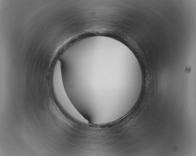 X0000114550399200911091200