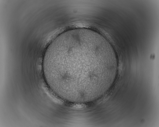 X0000114550402200911091200