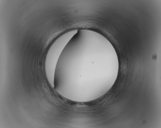 X0000114550403200911091200