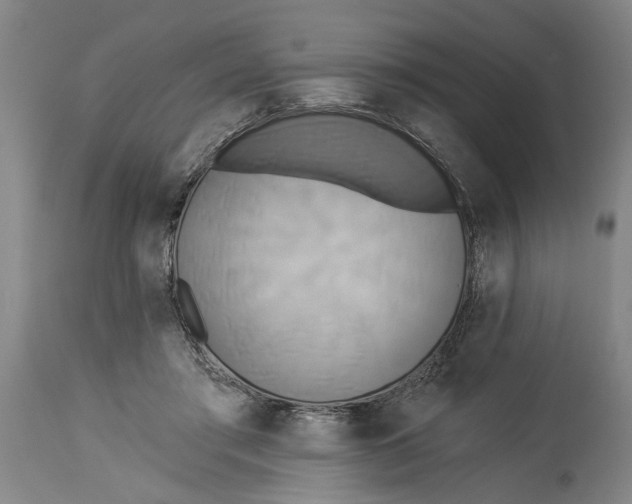 X0000114550405200911091200