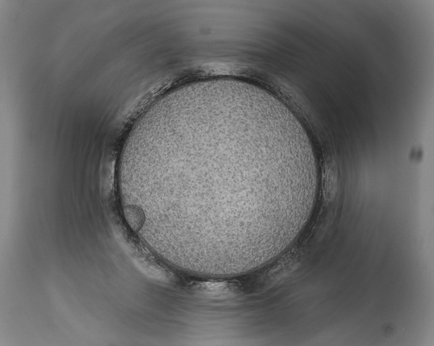 X0000114550406200911091200