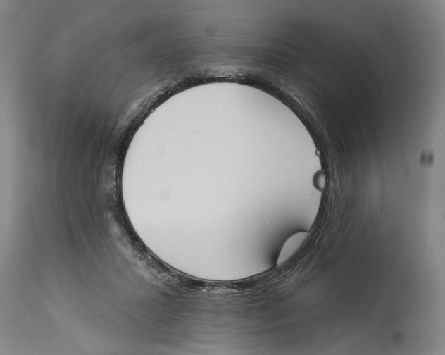 X0000114550407200911091200