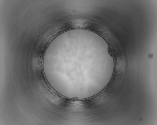 X0000114550409200911091200