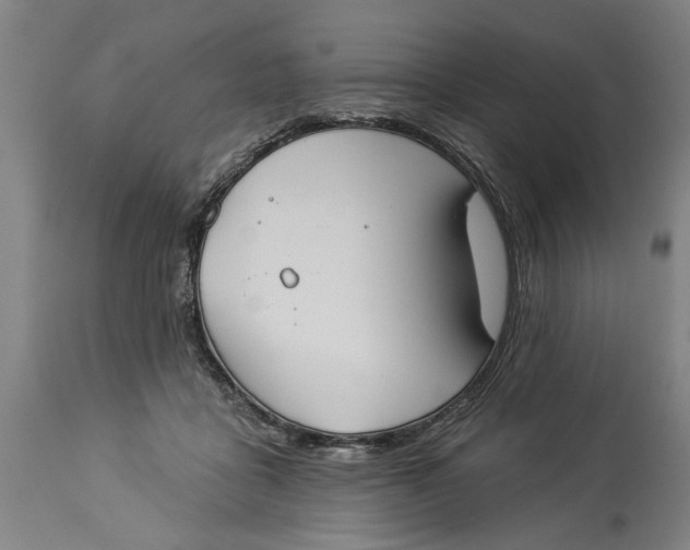 X0000114550411200911091200