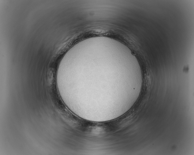 X0000114550412200911091200