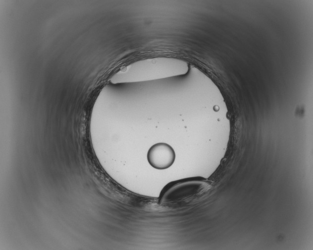 X0000114550413200911091200