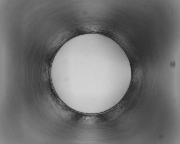 X0000114550414200911091200