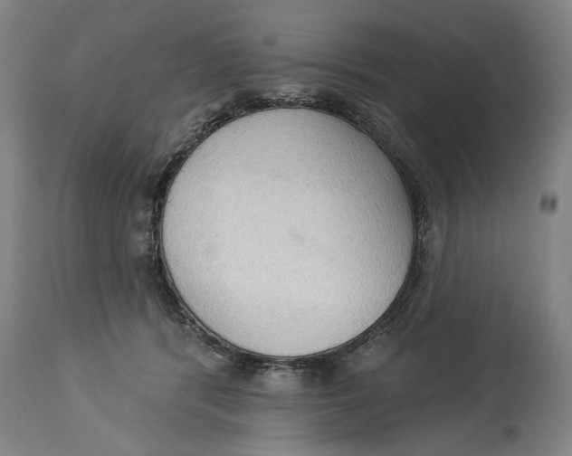 X0000114550416200911091200