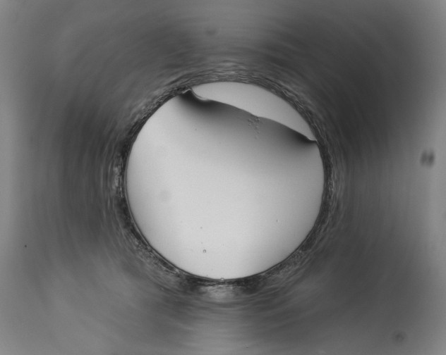 X0000114550417200911091200
