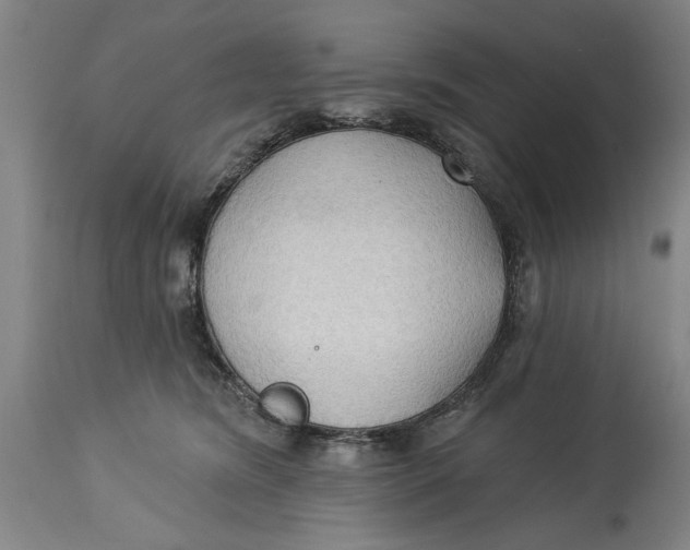 X0000114550420200911091200