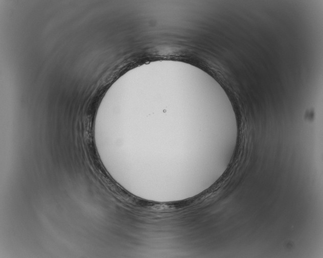 X0000114550421200911091200