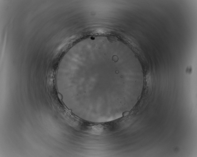 X0000114550423200911091200