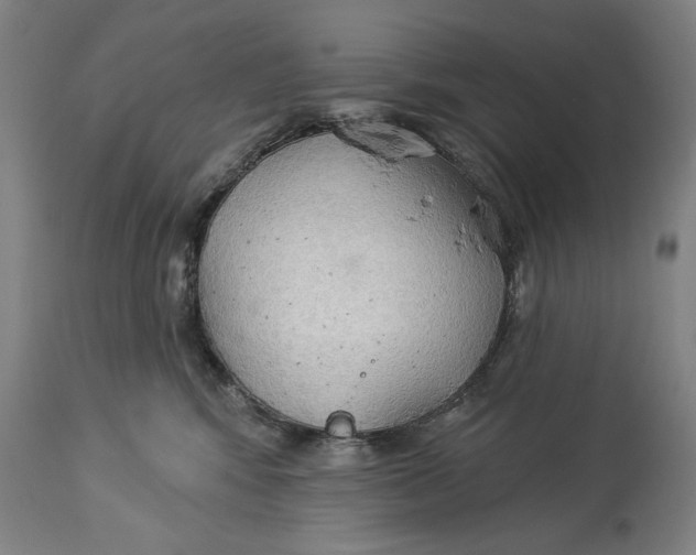 X0000114550424200911091200