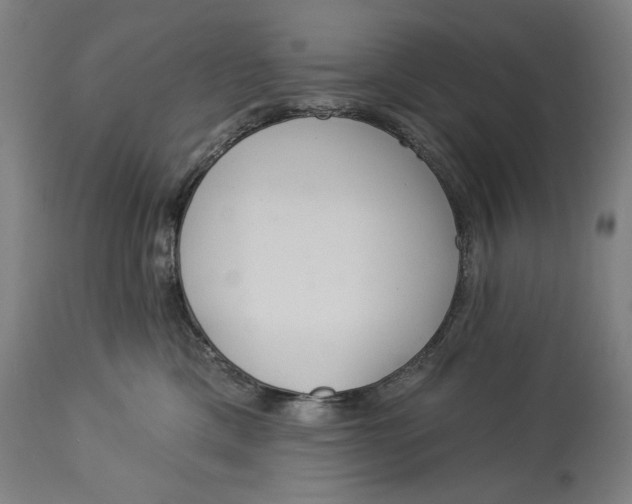X0000114550425200911091200